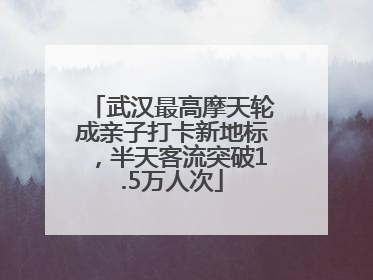 武汉最高摩天轮成亲子打卡新地标，半天客流突破1.5万人次