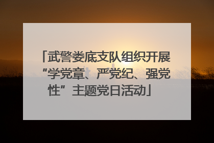 武警娄底支队组织开展“学党章、严党纪、强党性”主题党日活动