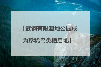 武钢有限湿地公园成为珍稀鸟类栖息地