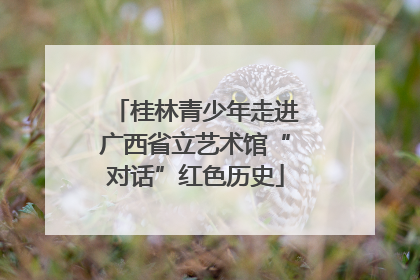 桂林青少年走进广西省立艺术馆“对话”红色历史