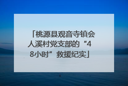 桃源县观音寺镇会人溪村党支部的“48小时”救援纪实