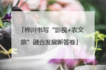 桦川书写“影视+农文旅”融合发展新答卷