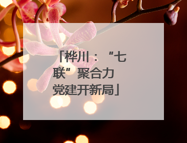 桦川：“七联”聚合力 党建开新局
