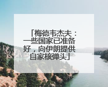 梅德韦杰夫：一些国家已准备好，向伊朗提供自家核弹头