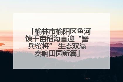 榆林市榆阳区鱼河镇千亩稻海喜迎“蟹兵蟹将” 生态双赢奏响田园新篇
