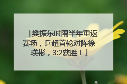 樊振东时隔半年重返赛场，乒超首轮对阵徐瑛彬，3:2获胜！