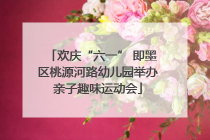 欢庆“六一” 即墨区桃源河路幼儿园举办亲子趣味运动会