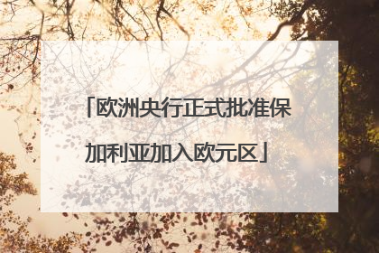 欧洲央行正式批准保加利亚加入欧元区