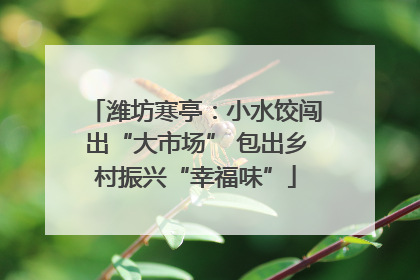 潍坊寒亭：小水饺闯出“大市场” 包出乡村振兴“幸福味”