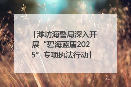 潍坊海警局深入开展“碧海蓝盾2025”专项执法行动