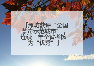 潍坊获评“全国禁毒示范城市”，连续三年全省考核为“优秀”