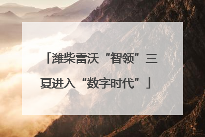 潍柴雷沃“智领”三夏进入“数字时代”