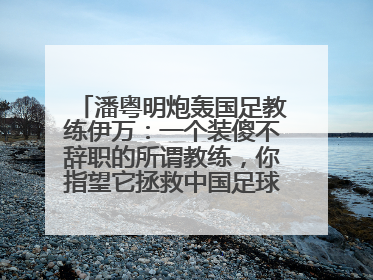 潘粤明炮轰国足教练伊万：一个装傻不辞职的所谓教练，你指望它拯救中国足球！此前曾多次发文评价国足