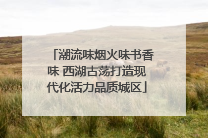 潮流味烟火味书香味 西湖古荡打造现代化活力品质城区