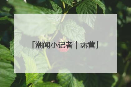 潮闻小记者｜露营