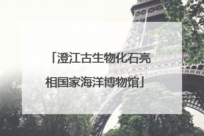 澄江古生物化石亮相国家海洋博物馆