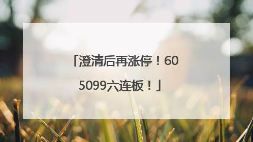 澄清后再涨停！605099六连板！