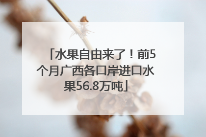 水果自由来了！前5个月广西各口岸进口水果56.8万吨