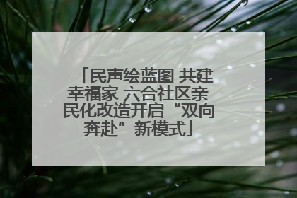民声绘蓝图 共建幸福家 六合社区亲民化改造开启“双向奔赴”新模式