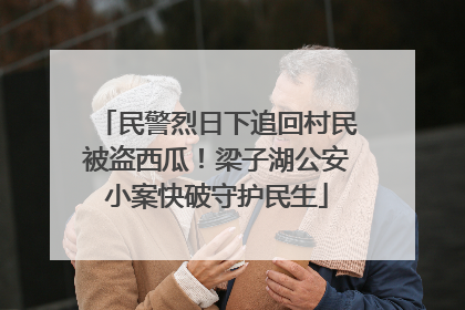 民警烈日下追回村民被盗西瓜！梁子湖公安小案快破守护民生