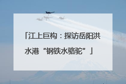 江上巨构：探访岳阳洪水港“钢铁水骆驼”