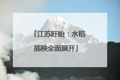 江苏盱眙：水稻插秧全面展开
