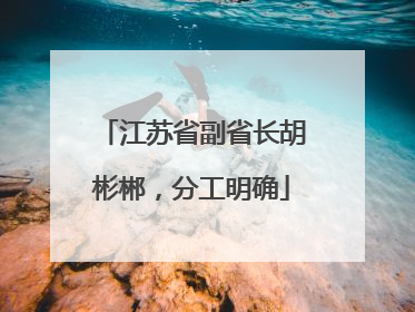 江苏省副省长胡彬郴，分工明确