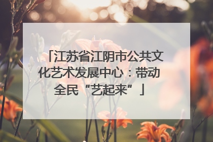 江苏省江阴市公共文化艺术发展中心：带动全民“艺起来”