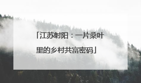 江苏射阳：一片桑叶里的乡村共富密码