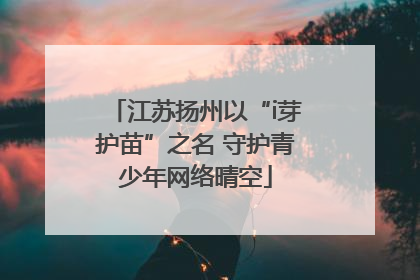 江苏扬州以“i芽护苗”之名 守护青少年网络晴空