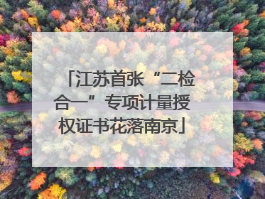 江苏首张“二检合一”专项计量授权证书花落南京
