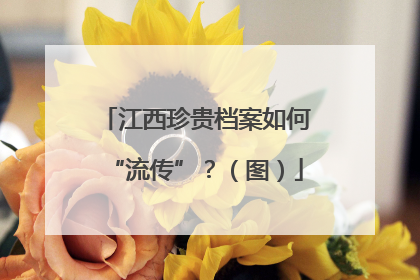 江西珍贵档案如何“流传”？（图）