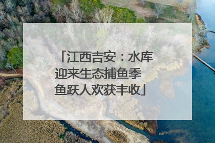 江西吉安：水库迎来生态捕鱼季 鱼跃人欢获丰收