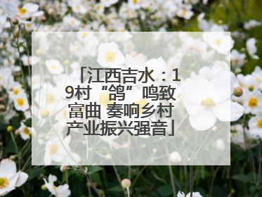 江西吉水：19村“鸽”鸣致富曲 奏响乡村产业振兴强音