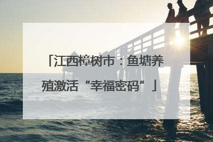 江西樟树市：鱼塘养殖激活“幸福密码”