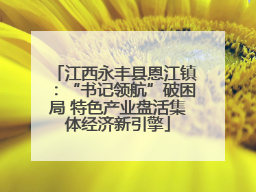 江西永丰县恩江镇：“书记领航”破困局 特色产业盘活集体经济新引擎