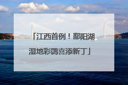 江西首例！鄱阳湖湿地彩鹮喜添新丁