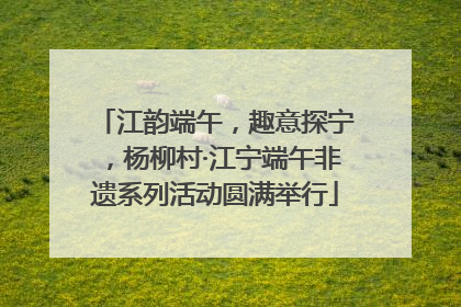 江韵端午，趣意探宁，杨柳村·江宁端午非遗系列活动圆满举行