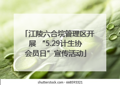 江陵六合垸管理区开展 “5.29计生协会员日”宣传活动