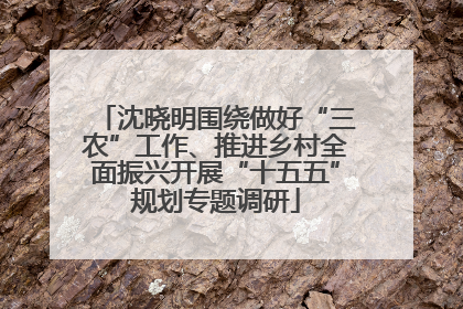 沈晓明围绕做好“三农”工作、推进乡村全面振兴开展“十五五”规划专题调研