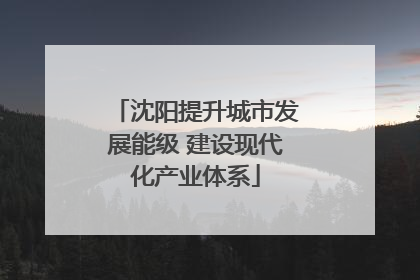 沈阳提升城市发展能级 建设现代化产业体系