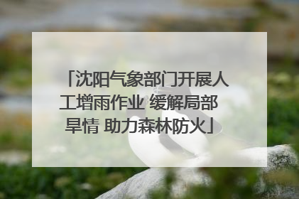 沈阳气象部门开展人工增雨作业 缓解局部旱情 助力森林防火