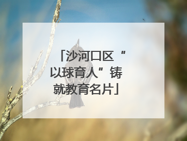 沙河口区“以球育人”铸就教育名片