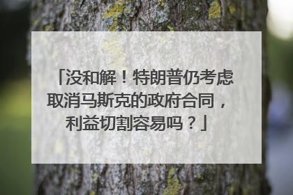 没和解！特朗普仍考虑取消马斯克的政府合同，利益切割容易吗？