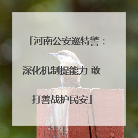 河南公安巡特警：深化机制提能力 敢打善战护民安