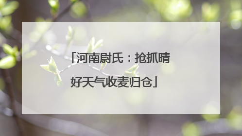 河南尉氏：抢抓晴好天气收麦归仓