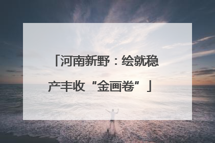 河南新野：绘就稳产丰收“金画卷”