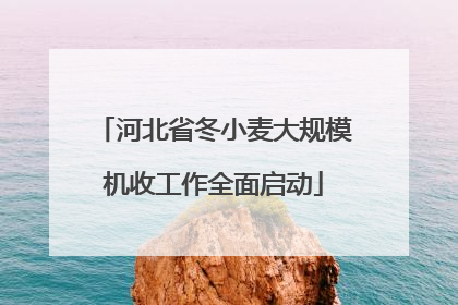 河北省冬小麦大规模机收工作全面启动