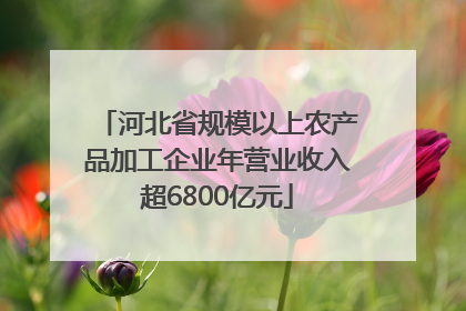 河北省规模以上农产品加工企业年营业收入超6800亿元