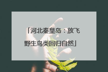 河北秦皇岛：放飞野生鸟类回归自然